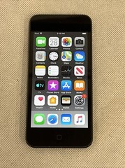 Apple iPod Touch 6th Generation 32GB Space Gray A1574