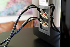 Soundpath Ultra Bi-Wire 20Ft Speaker Cable – Mixed