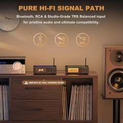 2 Channel Bluetooth Amp: HiFi 300W x2 Stereo Amplifier with BT 5.2 | HPF |