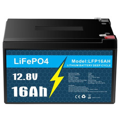 LiFePO4 Battery 12V 10Ah 30Ah 50Ah with BMS for RV Trolling Motor with Charger