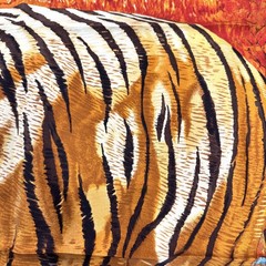 Hermes Calle90 Scarf Bengal Tiger Orange 15541 90cm x 90cm Silk Orange Color Sca