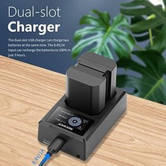 Dual USB Charger Kit with 2 Li-ION Batteries