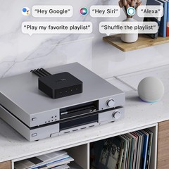 WiiM Pro AirPlay 2 Receiver, Google Cast Audio, WiFi Multiroom Streamer