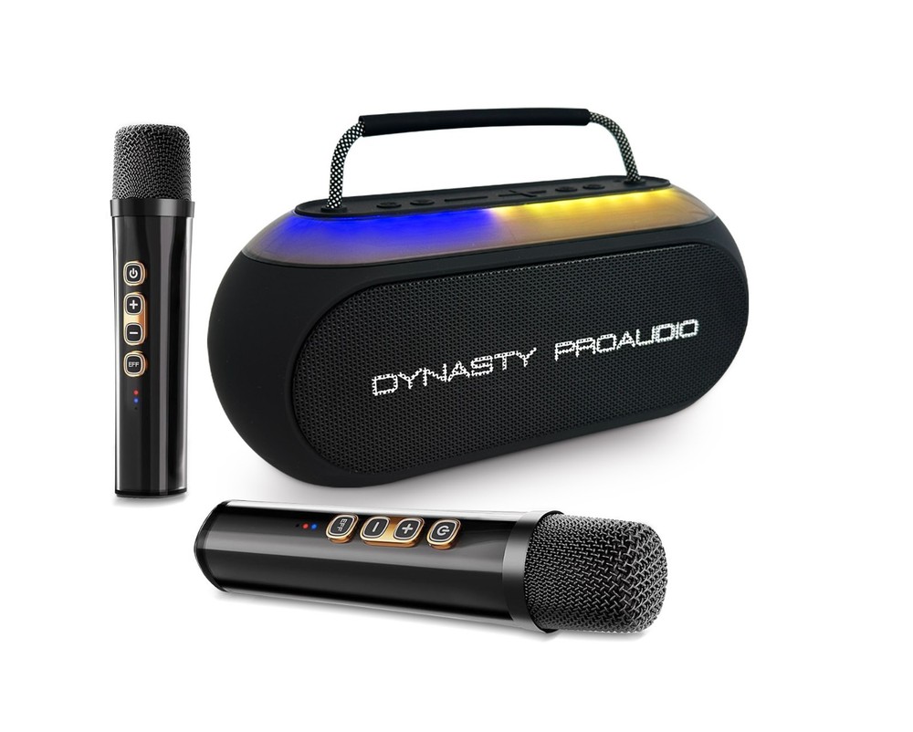 Dynasty ProAudio SB-230 Portable Bluetooth Speaker/Karaoke Machine