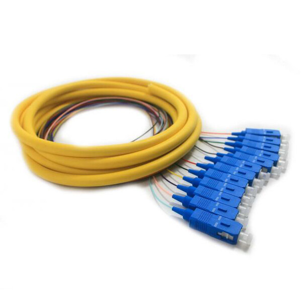 12 Strand Fiber Pigtail Singlemode SC/UPC 3M(1m 900um fanout + 2m distribution)