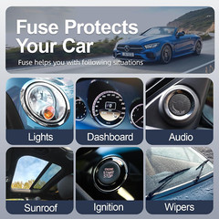 300Pcs Car Fuse Assortment Kit, 160 Mini Blade Fuses Automotive + 90 Standard
