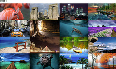 A-NeuVideo 16×1 HDMI 1.3 Multi-Viewer