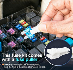 300Pcs Car Fuse Assortment Kit, 160 Mini Blade Fuses Automotive + 90 Standard