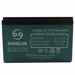 12V 12Ah 6-DZM-12 Battery 6-DZF-12 Replace Go Kart ATV Scooter 6-DMF-12