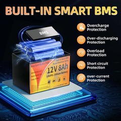 12V 100Ah LiFePO4 Lithium Battery with BMS, 4000+ Deep Cycles, Waterproof Chargi