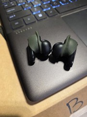 Bose QuiteComfort Earbuds With Ear Holder (One Year Old)