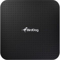 BirdDog Play 4K NDI Player