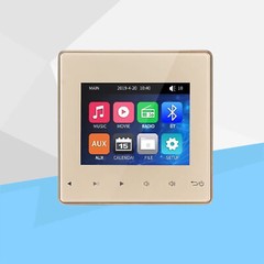 Mini Wall Amplifier Bluetooth Smart Sound System Theater Stereo Ceiling Speaker