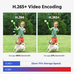 ANNKE 4K Dual Lens 180° View AI Color Night PoE Security IP Camera Two-Way Audio