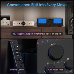 HIFI 2/4-Channel Digital Power Amplifier Speaker Selector for Eversolo DMP-A6