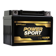 YTX4L-BS PowerSport SLA Replaces ATV TaoTao Cheetah TForce ATA 110cc ATA Series