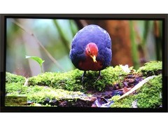 LG 43 Inch UA75 Series LED AI 4K Smart webOS TV (2025 Model) 43UA7500ZUA