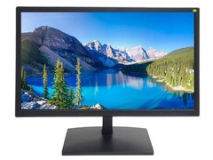 101AV 19.5″ 5MP Professional Security Monitor with HDMI & 19″ B HD, Black
