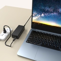 Charger for Snow Joe&Sun Joe 24V Lithium Ion Battery, iON Battery Models 24VBAT
