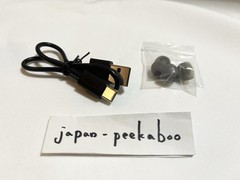 Hololive AVIOT TE-V1R-HEN English Myth Wireless Earbuds Limited Japan Used