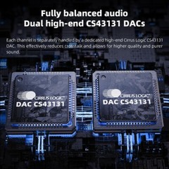 FiiO BTR13 Bluetooth Headphone Amplifier w/LDAC, aptX HD, 3.5mm & 4.4mm (Black)