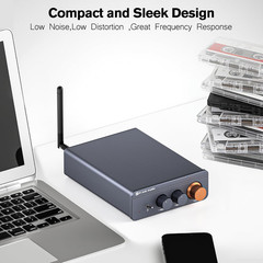 Amplifier Mini Home Audio Stereo Bluetooth 5.4 Component Amplifier, 300W X2 Wire