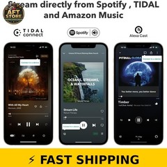 WiiM Pro Plus AirPlay 2 Receiver – Multiroom Streamer