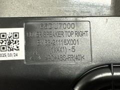 Samsung 98” UN98DU9000F TV Left & Right Internal Speaker BN96-58392E