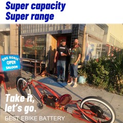 Lithium Lifepo4 48V 52V Ebike Battery 18Ah/20Ah/30Ah/35A/50A with Charger BMS