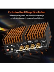 Douk Audio A100 TPA3255 Digital Power Amp 300W x2 Stereo Mono Subwoofer Amp Home