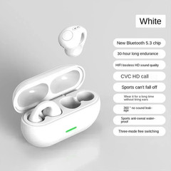 T75 Bluetooth 5.3 Bone Conduction Wireless Sports Earbuds Waterproof Ear Hook