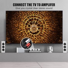 2RCA to 2RCA Cable 3Ft Gold-Plated 2 RCA Male to 2 RCA Male Stereo Audio Cabl…