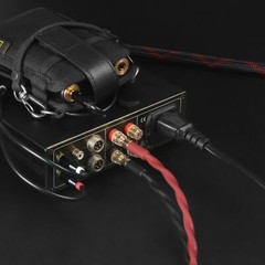 k4B-2B Bi-Wire Speaker Cable (2 Banana Plugs – 4 Banana Plugs), 1pair Set (To…