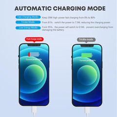 2 Pack Fast Wall Charger for iPhone 16 15 14 13 13 Pro 12 Pro Max iPad C Port