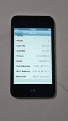 Apple iPod Touch 4th Generation Black (64 GB)