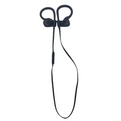 Beats by Dr. Dre Powerbeats3 In-Ear Earbuds Wireless Headphones Black Gold
