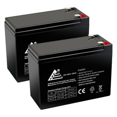 ExpertBattery 2 Packs of 12V 10Ah Battery for EZIP Scooter 4.0, 400, 450, 500