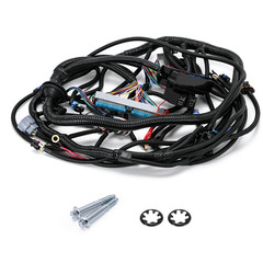4L60E Wiring Harness Stand Alone for 1999-2006 LS SWAPS DBC 4.8 5.3 6.0 Engine..