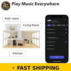 WiiM Pro Plus AirPlay 2 Receiver – Multiroom Streamer