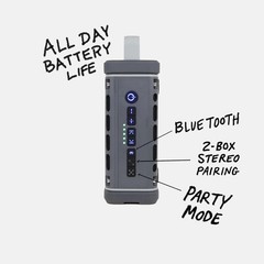 D-Turtlebox Ranger Portable Speaker/Gray