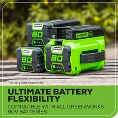 Greenworks 80V Battery Powered 300 Watt Power Inverter (Output: 120V AC, USB DC)