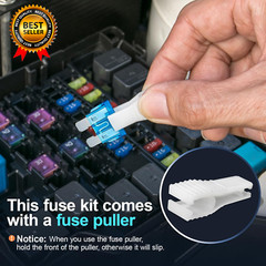 300Pcs Car Fuse Assortment Kit 160 Mini Blade Fuses Automotive + 90 Standard Aut