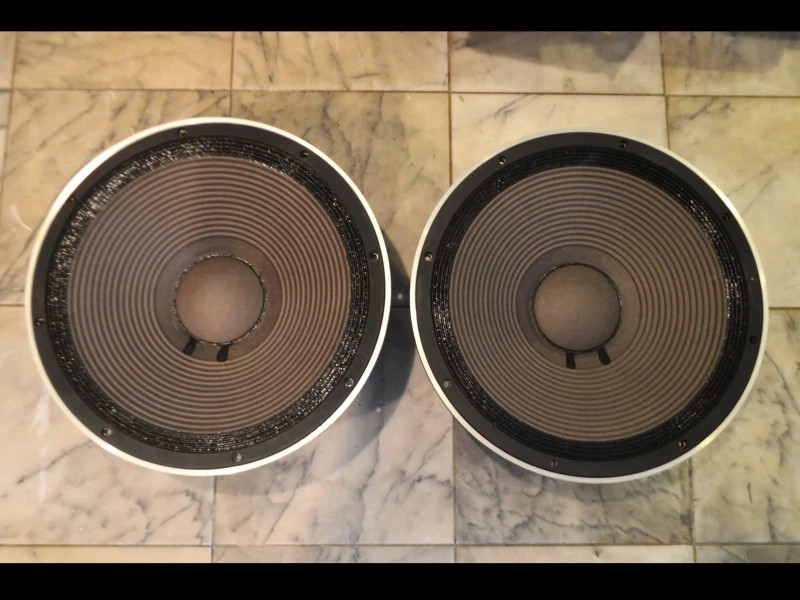 TAD PIONEER TL-1601B 40cm Cone Woofer PAIR 8Ω USED JAPAN vintage audio speaker
