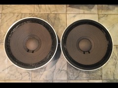 TAD PIONEER TL-1601B 40cm Cone Woofer PAIR 8Ω USED JAPAN vintage audio speaker