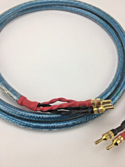 Vintage Rhapsody S Straight Wire Bi-Wire Speaker Cable 10 ft. Excellent
