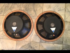 TAD PIONEER TL-1601B 40cm Cone Woofer PAIR 8Ω USED JAPAN vintage audio speaker