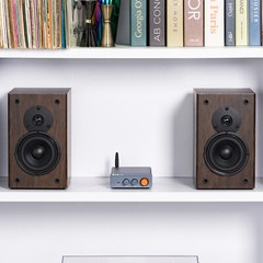 Fosi Audio BT20A Pro Audio Amplifier Bluetooth Home Stereo HiFi Class D 48V/32V