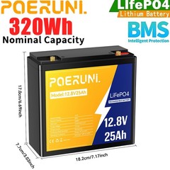 NEW 12V 25Ah LiFePO4 Lithium Battery 320Wh Built-in BMS Deep Cycle for Solar RV