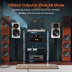 Douk Audio Hybrid Stereo Tube Integrated Amplifier with Bluetooth USB COAX OPT