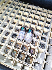 2 pcs 6N23P / ECC88 / 6DJ8 Reflector 70`s Matched pair